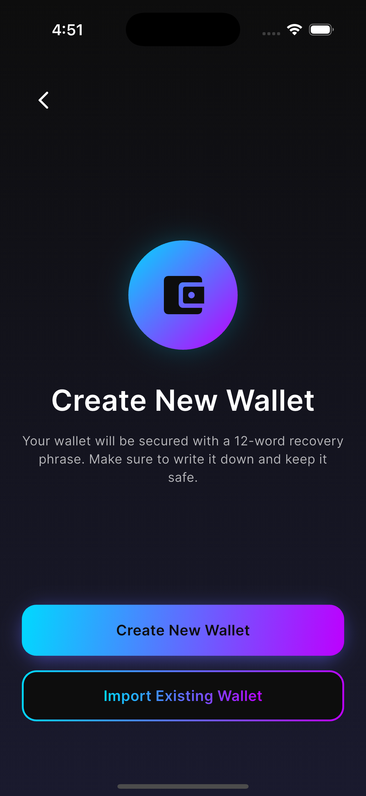 Wallet Setup